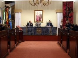 Pleno de la Diputación de Huelva.